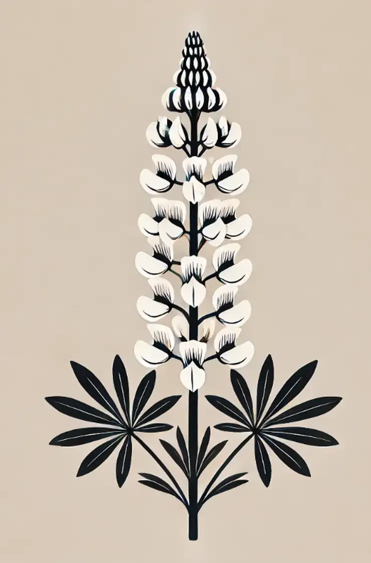Lupine Lupine